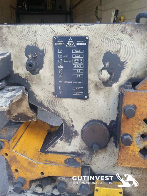 Hydraulic punching shear