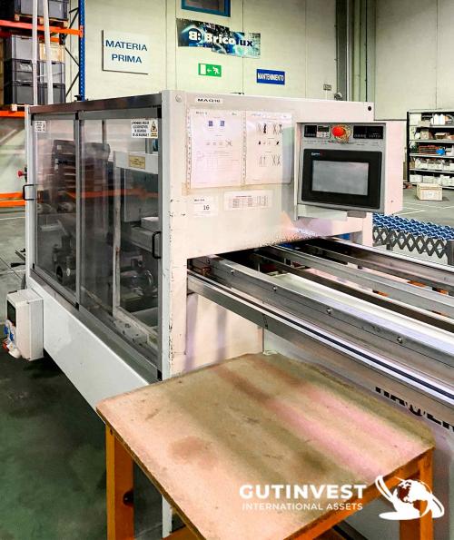 Máquina envasadora blíster automática