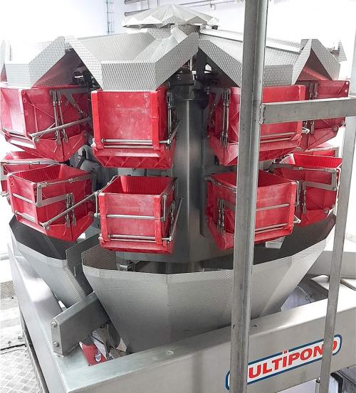 Envasadora Vertical  y Pesadora multicabezal -10 cabezales