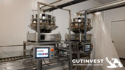 Complete line for blueberry handling and packaging 