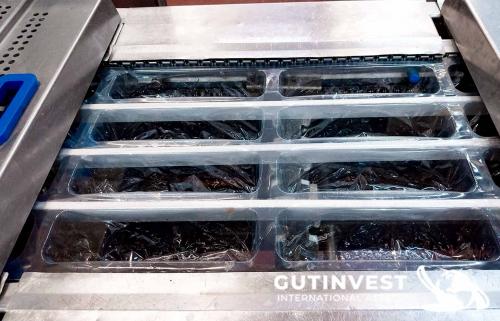 Automatic thermoformer machine