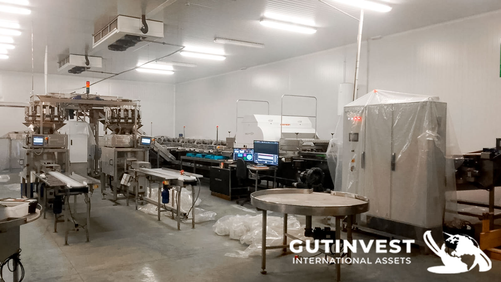 Complete line for blueberry handling and packaging 