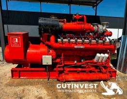 Natural Gas Generator Set GUASCOR 875 kVA