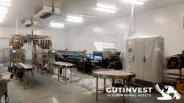 Complete line for handling and packaging of blueberry 