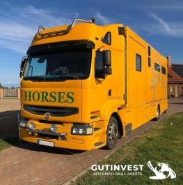 Camión para transporte caballos
